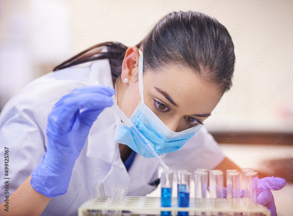 She wont stop until she finds a cure. Shot of a young scientist transferring liquid from a pipette to a test tube in a laboratory. She wont stop until she finds a cure. Shot of a young scientist transferring liquid from a pipette to a test tube in a laboratory.