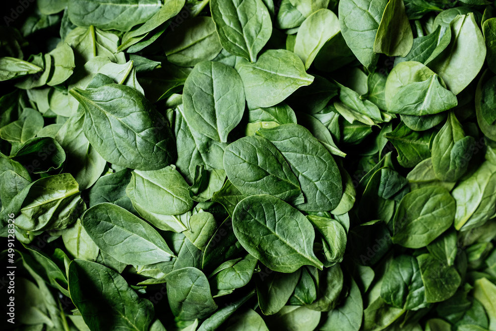 Top view on fresh organic spinach leaves Top view on fresh organic spinach leaves