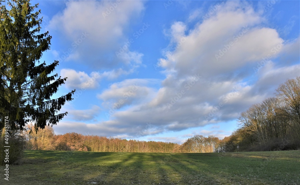 Landschaft mit Feld, Wald und Wolken Landschaft mit Feld, Wald und Wolken