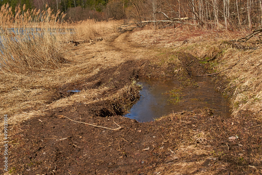 Spring landscape. Dirt on a country road.