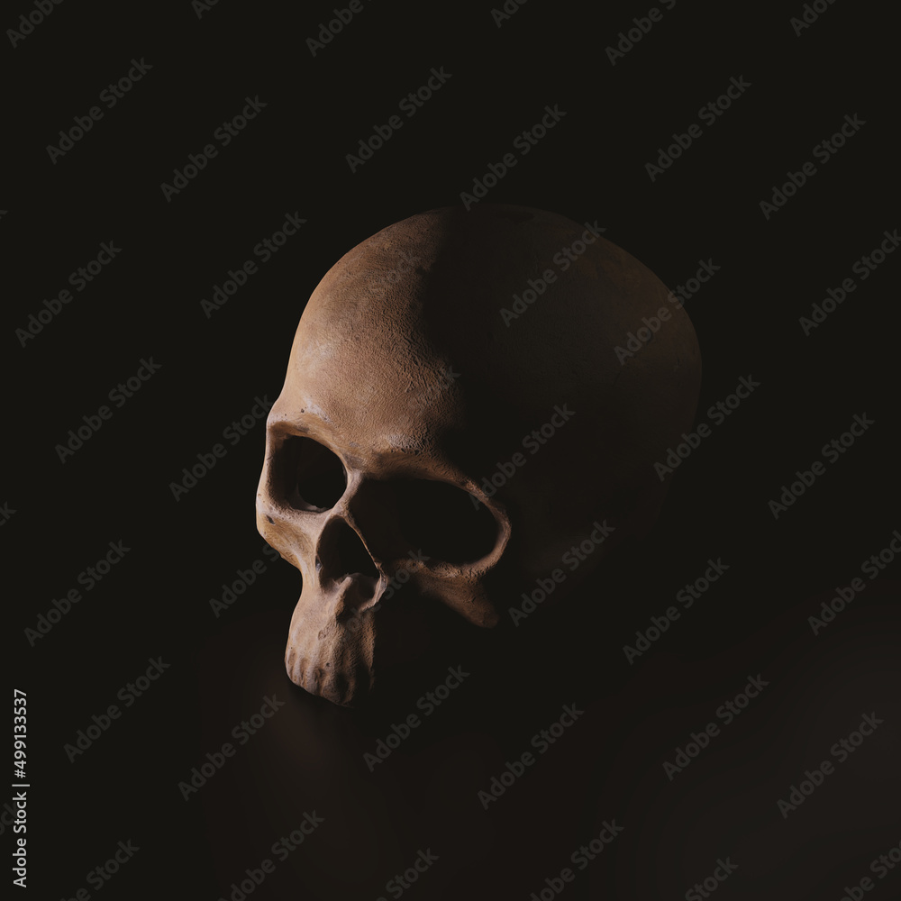 Obraz premium human skull on black background - 3D render