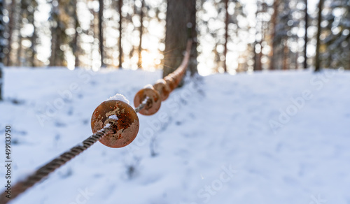 Photo of Outdoor Playground Elements in Forest in Sunny Winter, Abstract Background with Selective Focus