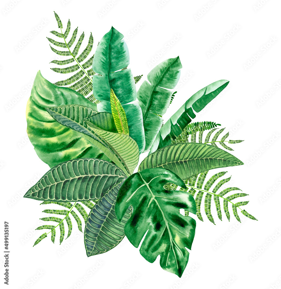 Tropical green leaves watercolor arrangement. Lush foliage jungle bouquet. Exotic design element for cards and wedding. Hawaiian hand drawn jungle style composition.	
