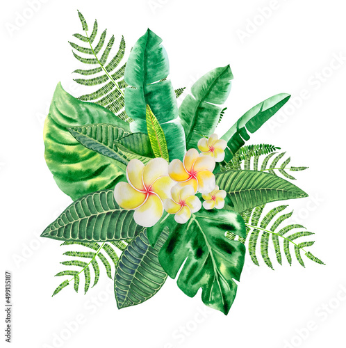 Frangipani flower and palm leaves composition by hand drawn watercolor. Tropical print and logo. Hawaiian foliage arrangement postcard symbol. Vacation and holiday invitation