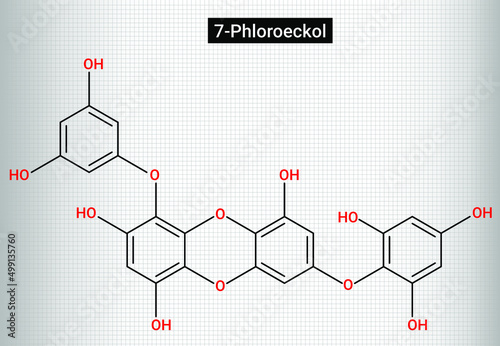 7-phloroeckol is a phlorotannin that is eckol in which the hydroxy group at position 7 is replaced by a 2,4,6-trihydroxyphenoxy group