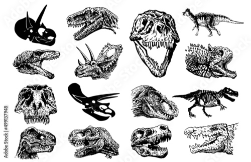 Graphical set of dinosaurs  heads isolated on white background,vector illustration for tattoo and printing
