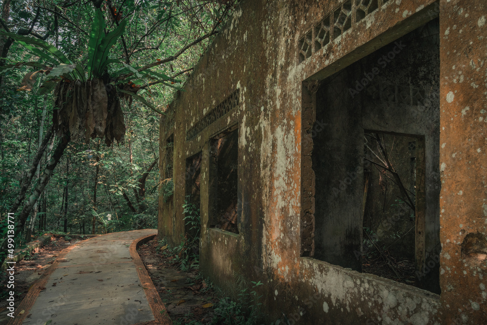 wrecked and abandoned house in the woods wrecked and abandoned house in the woods
