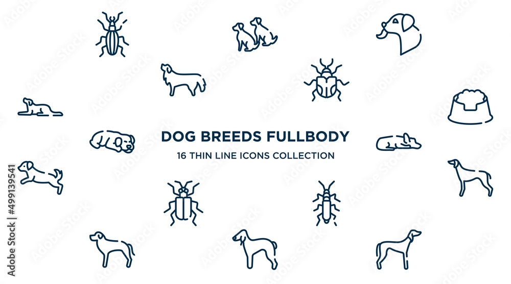 concept of 16 dog breeds fullbody outline icons such as null, dog licking, null, pet dish, sad dog, greyhound, null, bedlington terrier, saluki vector illustration.