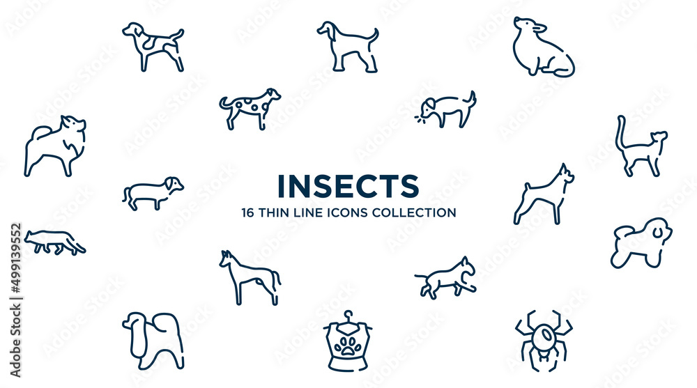 concept of 16 insects outline icons such as german shorthaired pointer, corgi, dog smelling dog, bengal cat, boxer, bichon frise, bulterrier, pet clo, spider black widow vector illustration. concept of 16 insects outline icons such as german shorthaired pointer, corgi, dog smelling dog, bengal cat, boxer, bichon frise, bulterrier, pet clo, spider black widow vector illustration.
