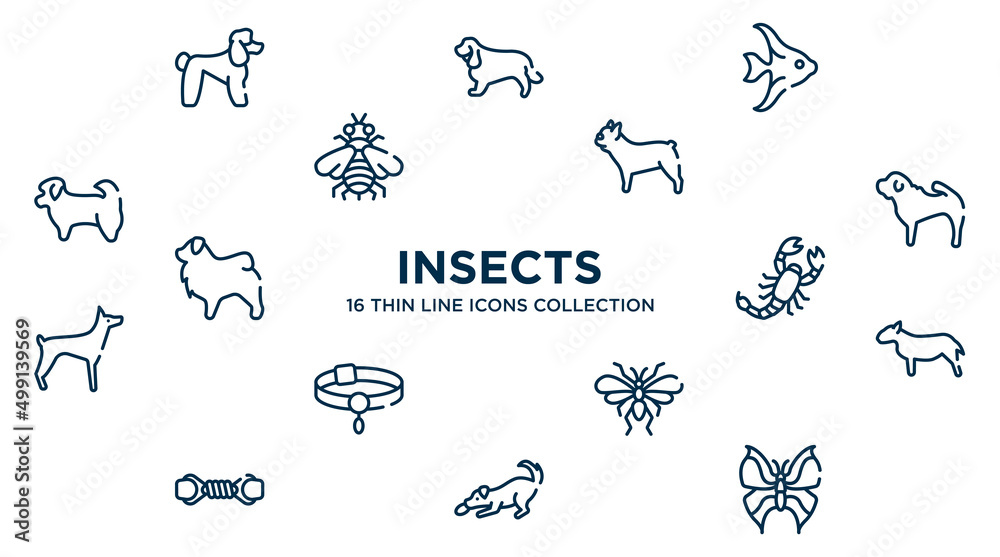 concept of 16 insects outline icons such as poodle, angelfish, french bulldog, shar pei, scorpio, bullterrier, null, dogs playing, leaf butterfly vector illustration.