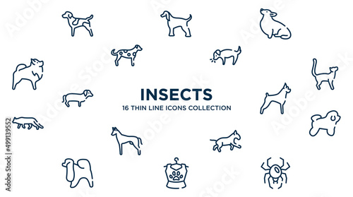 concept of 16 insects outline icons such as german shorthaired pointer, corgi, dog smelling dog, bengal cat, boxer, bichon frise, bulterrier, pet clo, spider black widow vector illustration.