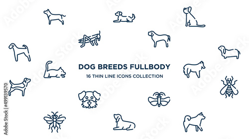 concept of 16 dog breeds fullbody outline icons such as american staffordshire terrier, yorkshire terrier, english mastiff, bas hound, shetland sheepdog, null, null, null, malamute vector