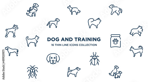 concept of 16 dog and training outline icons such as grooming pet, scold the dog, chow chow, sheltie, treat, chihuahua, pollen beetle, jack russel terrier, dog and doggie vector illustration.
