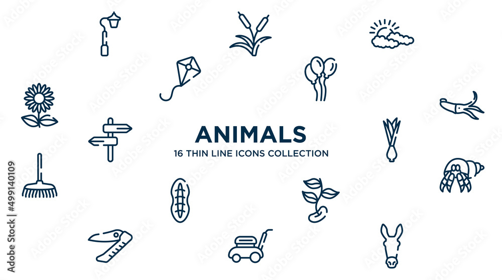 concept of 16 animals outline icons such as streetlight, cloudy, balloons, squid, onion, hermit crab, beans, lawn mower, donkey vector illustration. concept of 16 animals outline icons such as streetlight, cloudy, balloons, squid, onion, hermit crab, beans, lawn mower, donkey vector illustration.