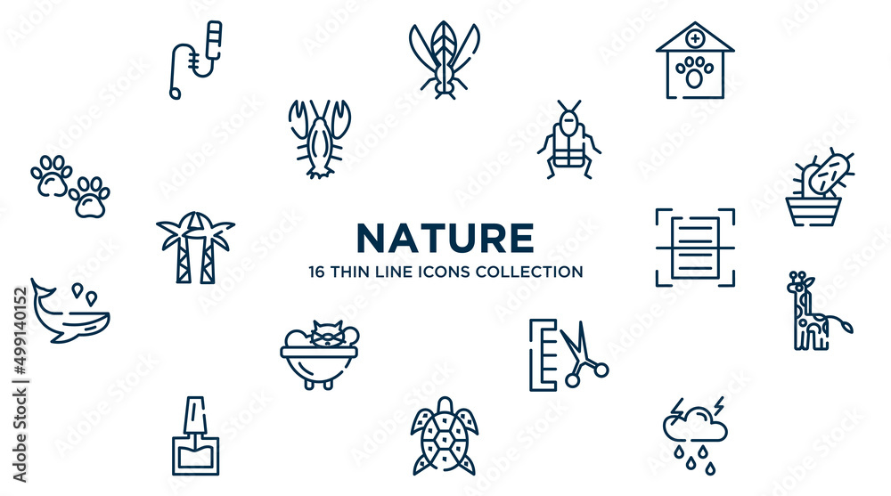 concept of 16 nature outline icons such as teasing stick, veterinary, crioceris, cactus, scanning, giraffe, groomer, turtle, thunderstorm vector illustration.