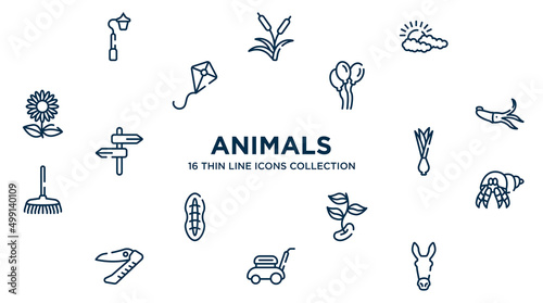 concept of 16 animals outline icons such as streetlight, cloudy, balloons, squid, onion, hermit crab, beans, lawn mower, donkey vector illustration.