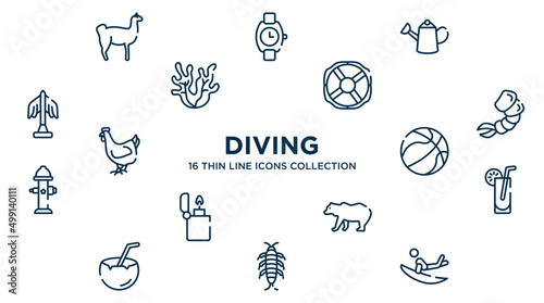 concept of 16 diving outline icons such as llama, watering can, lifebuoy, shrimp, basketball ball, lemonade, grizzly bear, silverfish, surf vector illustration.