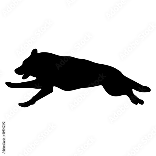 Black silhouette of a dog on a white background.