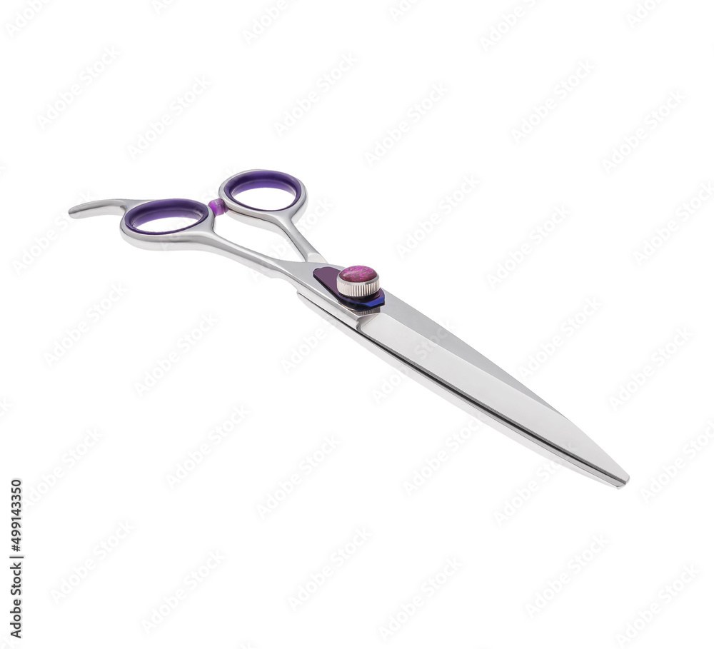 Obraz premium Scissors for cutting people and pets. Grooming scissors. Closed scissors on a white isolated background. Angle view.