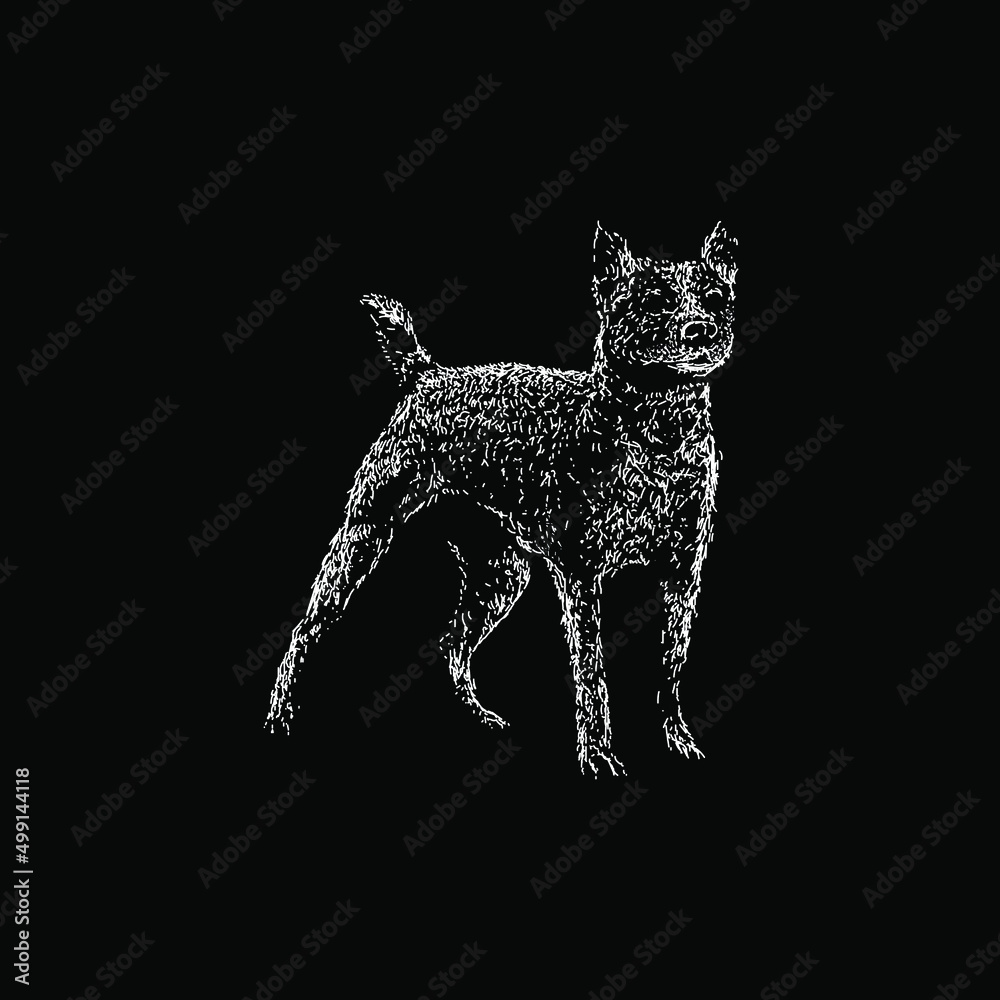feist dog hand drawing vector illustration isolated on white background feist dog hand drawing vector illustration isolated on white background