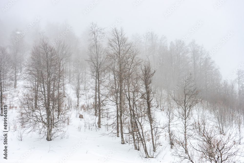 Covered with snow Caucasus mountain Covered with snow Caucasus mountain