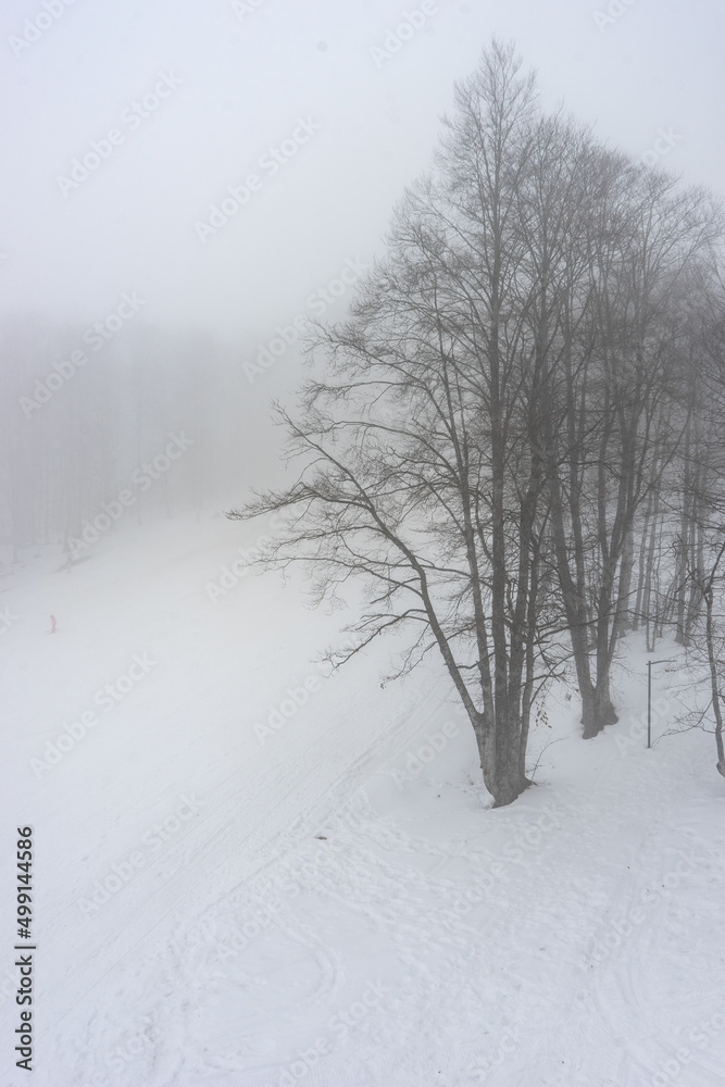 Fototapeta premium Covered with snow Caucasus mountain