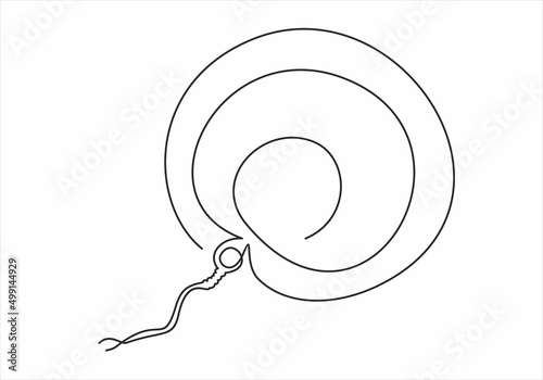 Sperm in female cell line icon, Medical concept, Fertilization process sign on white background