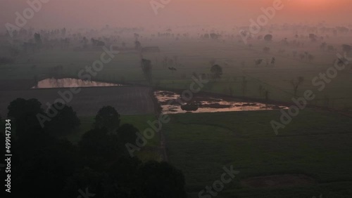 Rukanpur, Rahim Yar Khan, Punjab, Pakistan -  A beautiful view of Foggy weather and green fields in Winter season. Green wheat field and foggy weather photo