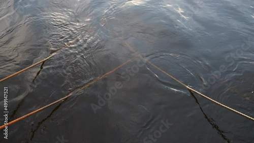 Chains and ropes on the pier going under the water, the reflection of the sunset on the waves