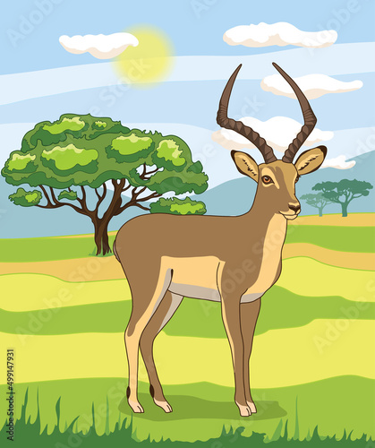 Savanna landscape Nature park, tropical safari with a gazelle, green trees 