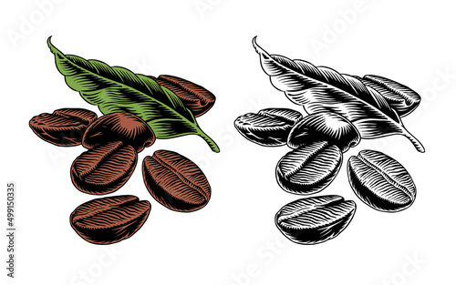 Coffee beans and leaf isolated on white background. Color and monochrome versions. Engraving style vector illustration. Good for cafe menu, coffee label or packaging.
