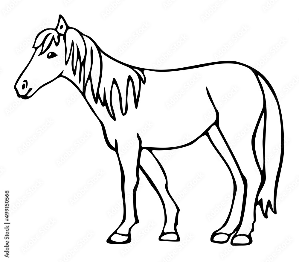 Vector illustration of hand drawn horse. Black and white horse.