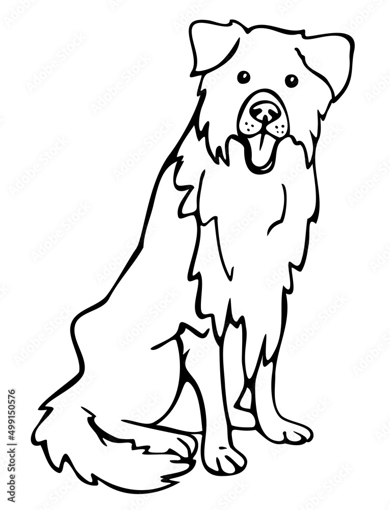 Obraz premium Vector illustration of border collie. Hand drawn dog.