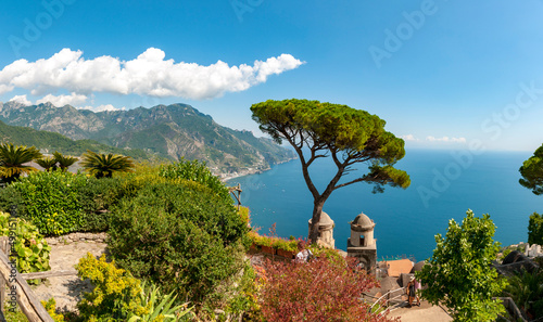 arbre en bord de mer sur la cote amalfitaine