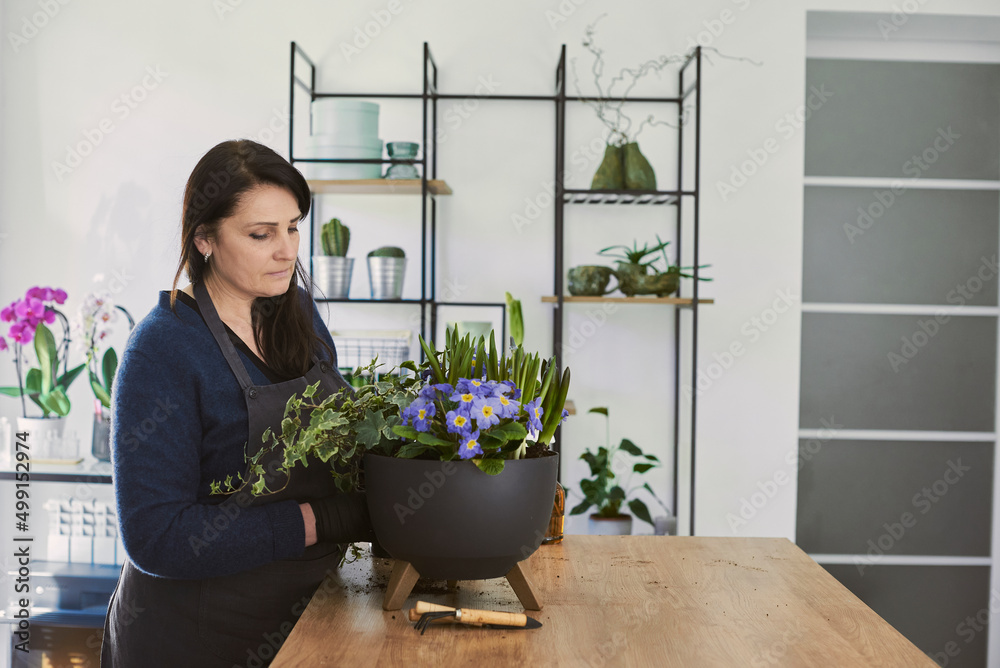 senior woman transplants flowerpots indoor