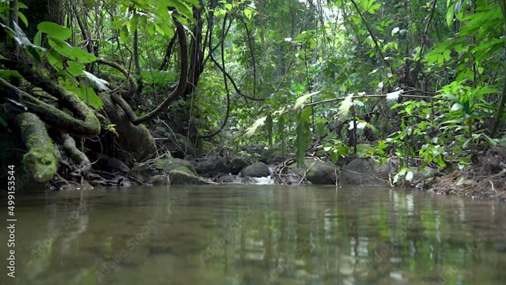 small mountain waterfall that cascades down rocks and rocks with water splashing down tropical nature forest national park thailand small mountain waterfall that cascades down rocks and rocks with water splashing down tropical nature forest national park thailand