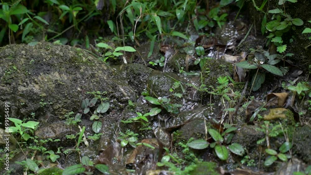 small mountain waterfall that cascades down rocks and rocks with water splashing down tropical nature forest national park thailand small mountain waterfall that cascades down rocks and rocks with water splashing down tropical nature forest national park thailand