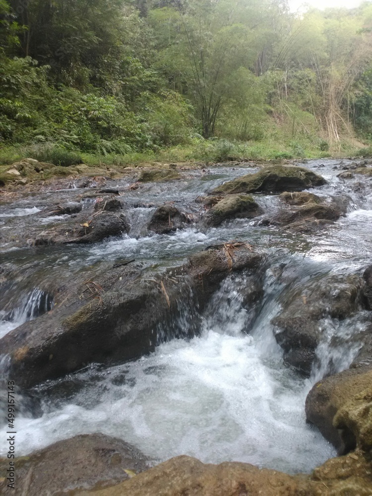 Naklejka premium Nature Scenes and Landscape