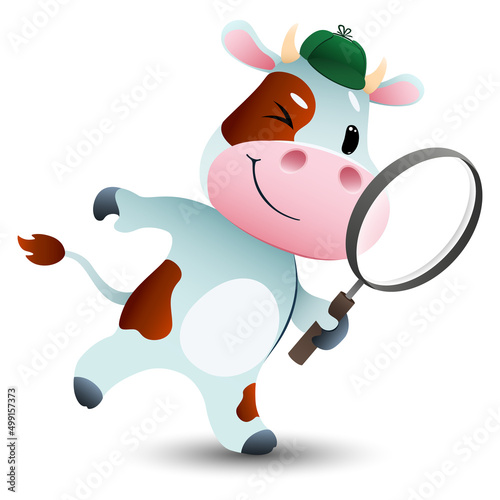 cute cartoon detective little cow looking for items with a magnifying glass on white background. funny animal in search . vector cartoon character illustration.