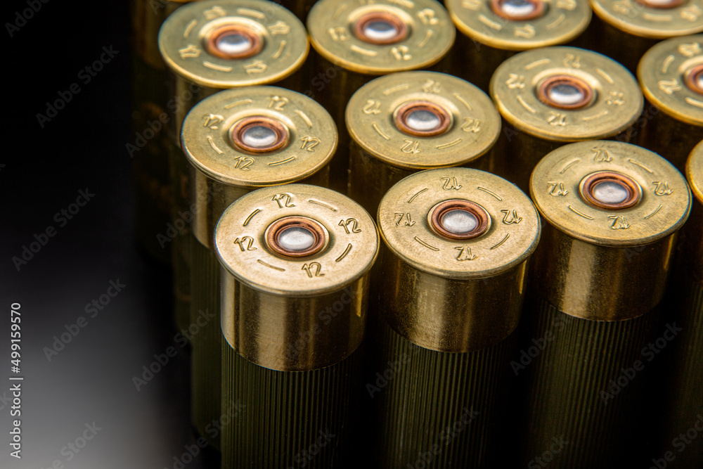 Shotgun shells on a black reflective surface. Ammunition for 12 gauge smoothbore weapons. Hunting ammunition. Dark back. Shotgun shells on a black reflective surface. Ammunition for 12 gauge smoothbore weapons. Hunting ammunition. Dark back.