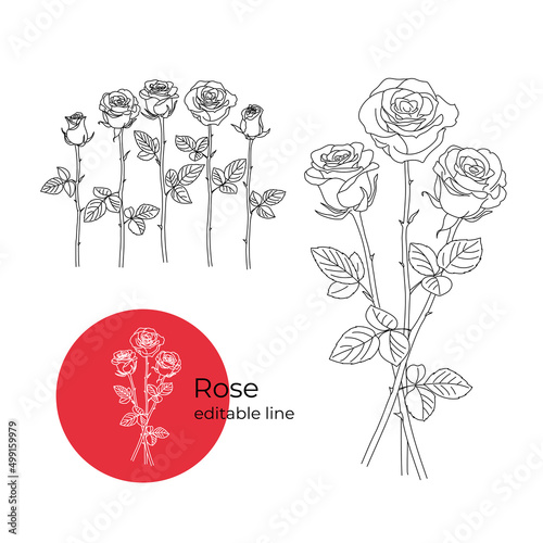 Rose flower was drawn in a minimalistic style with a line. Part of the collection of main flowers. Editable line.