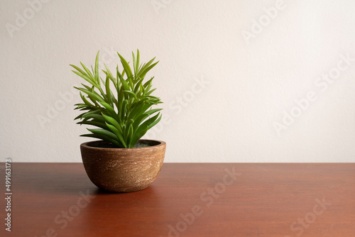 Pot of plant on a wooden table in a house  cafe. Simple  calm and minimal display in the house and decoration