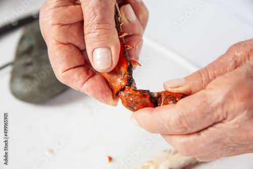 Close up of  the process of breaking down a fresh crab to take out the flesh photo