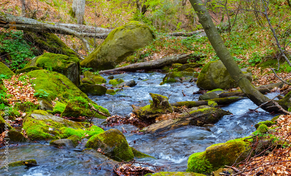 small mountain river rushing through the canyon small mountain river rushing through the canyon