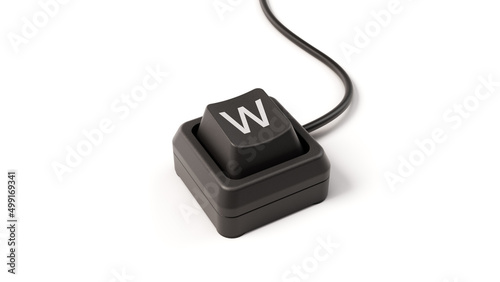 letter W button of single key computer keyboard, 3D illustration