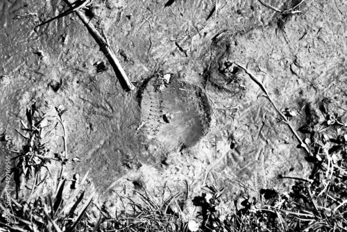 Canvas Print Spring baseball