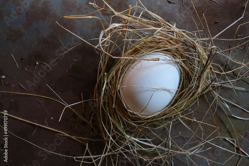 Egg in the nest on a rusty metal background.   oncept of a new birth during the war.