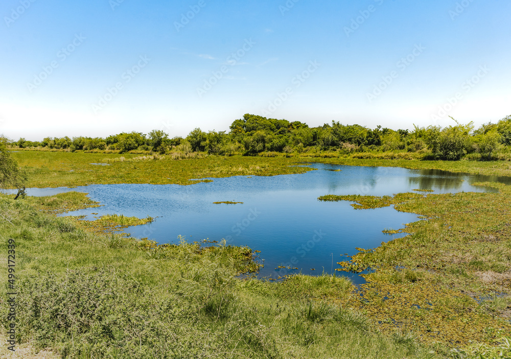 Landscape of the recently opened Ibera Wetlands National Park, Argentina with blue lagoon in a grassland scenery.