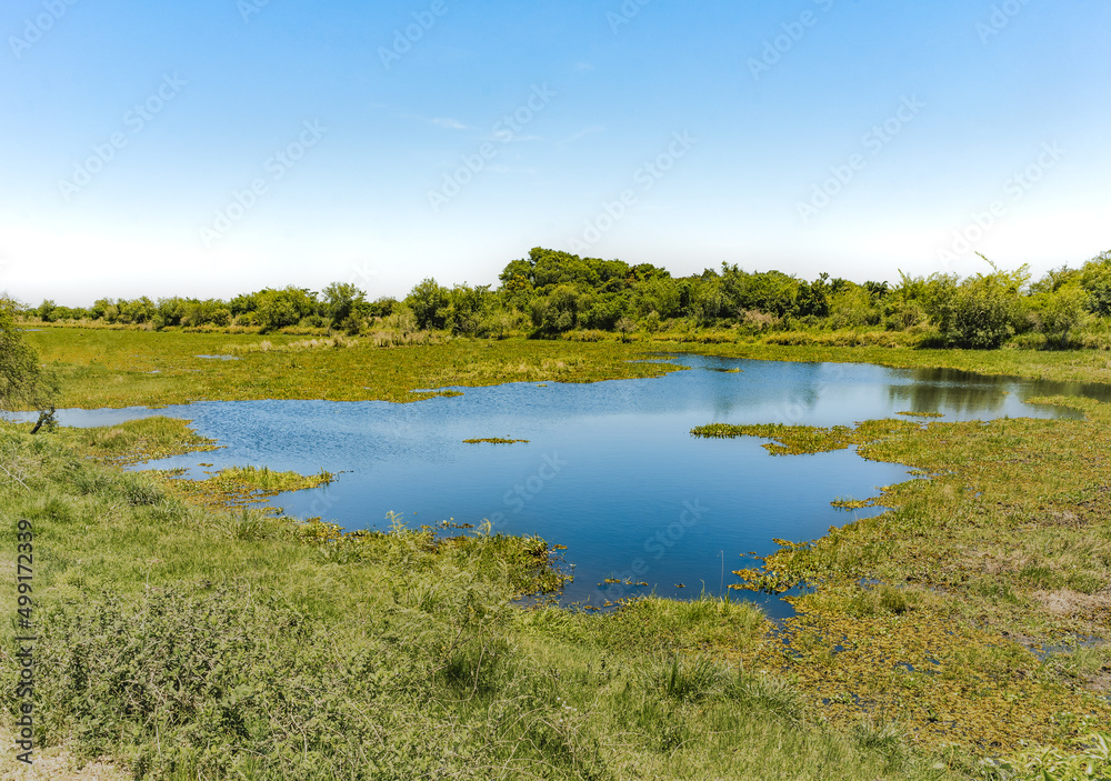 Landscape of the recently opened Ibera Wetlands National Park, Argentina with blue lagoon in a grassland scenery. Landscape of the recently opened Ibera Wetlands National Park, Argentina with blue lagoon in a grassland scenery.