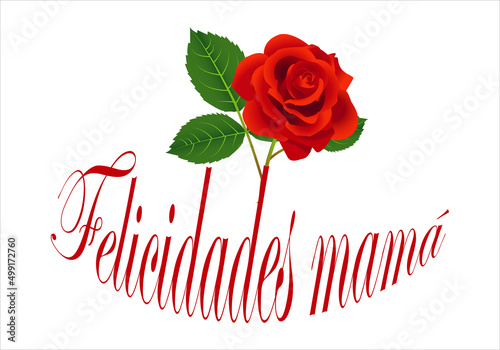 Feliz día de la madre. Felicidades mamá. Rosa roja con el texto de Felicidades mamá
